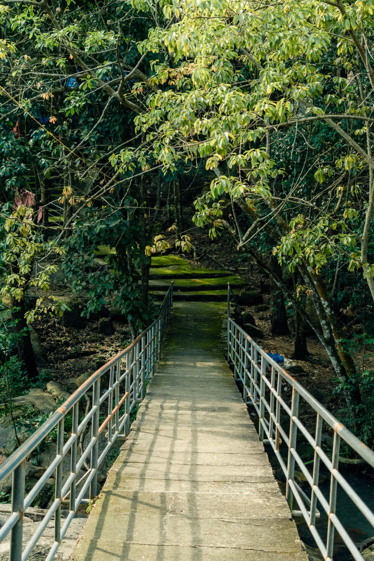 Diem den thien nhien tranh dong duc tren nui Dinh-Hinh-5