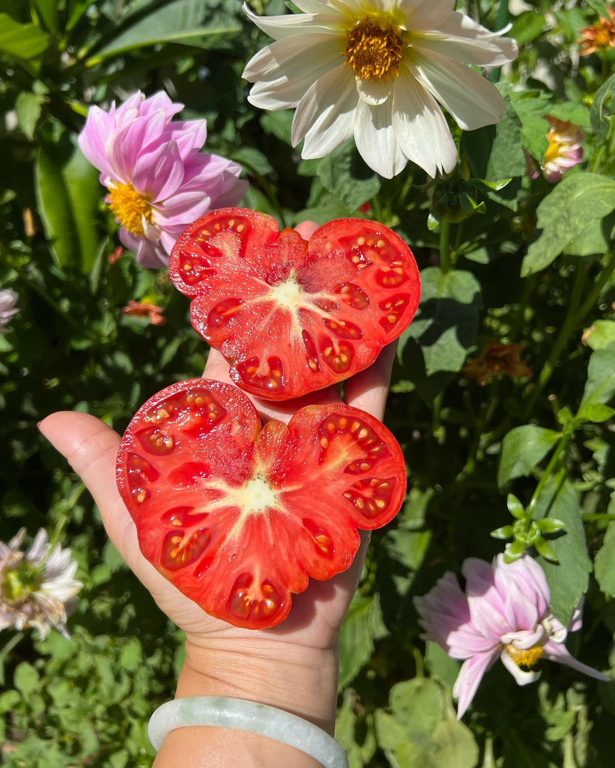 Qua me lam vuon, hang xom nhuong ca dat truoc nha cho trong trot-Hinh-6