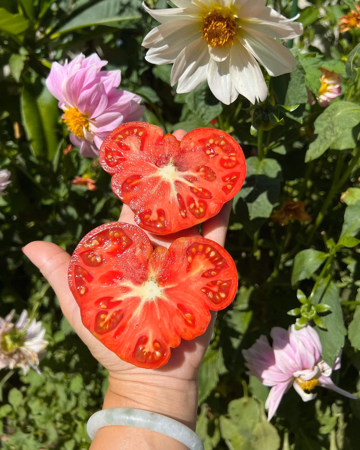 Qua me lam vuon, hang xom nhuong ca dat truoc nha cho trong trot-Hinh-6