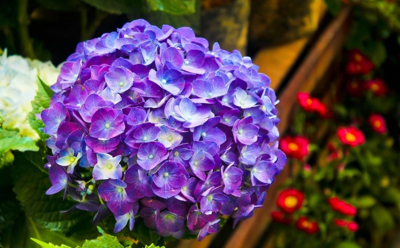 3 con giáp đón tin vui vào cuối năm 2023 - Hình 3 3 con giap don tin vui vao cuoi nam 2023-Hinh-3