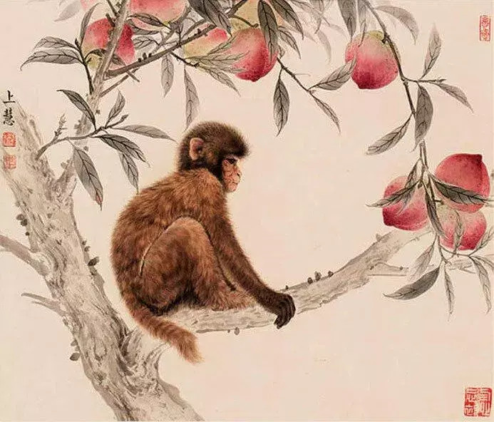  Tháng 5 Âm lịch sang, người tuổi Thân đón quý nhân đến nhà. Họ nhận được sự giúp đỡ và hỗ trợ quan trọng. Quý nhân của con giáp này có thể là mạng xã hội, đối tác kinh doanh hoặc nhân vật có ảnh hưởng đến họ. Con giáp này được người khác công nhận và đánh giá cao.