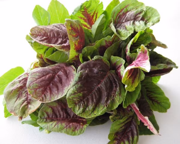 Rau den mat bo nhung khong an theo cach nay keo hai than