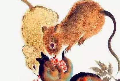 Dau nam 2023, 4 con giap tien bac rung rinh moi ngay-Hinh-2