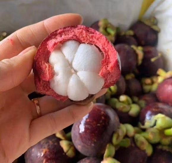 Khi mua mang cut, chon bang cach an xem mem hay cung la sai-Hinh-2