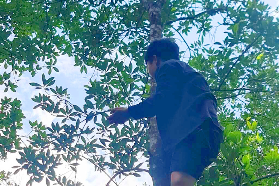 Trong loai cay ra hoa 2 lan, nong dan kiem tram trieu moi nam-Hinh-2