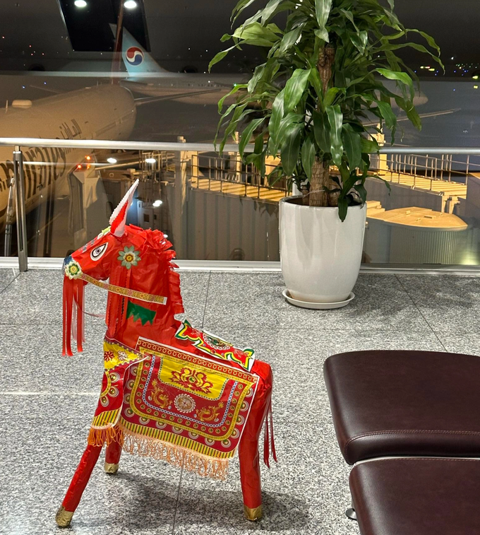 Vi sao ngua vang ma cua khach tay khong duoc len may bay?-Hinh-2