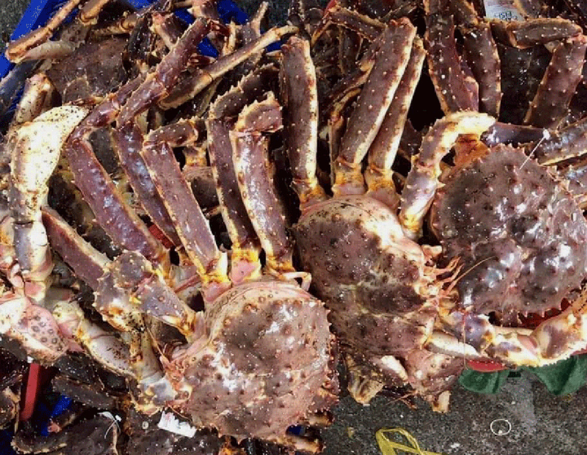 Tom cua 'ngoai' tran cho Viet, xuat khau gao sang Indonesia tang dot bien