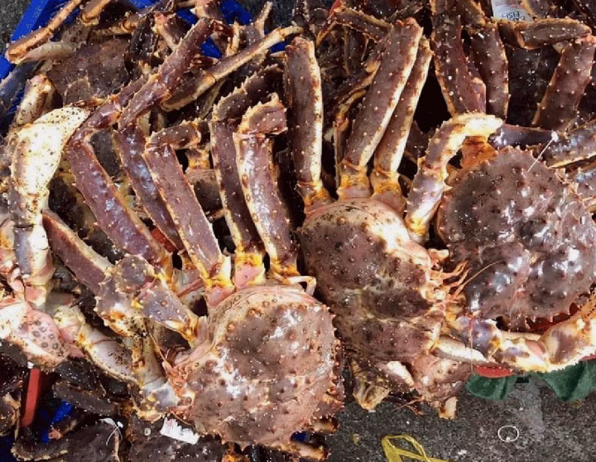 Tom cua 'ngoai' tran cho Viet, xuat khau gao sang Indonesia tang dot bien