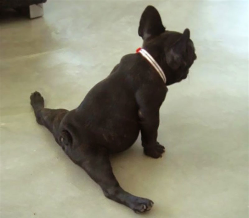 Xoải chân khó đấy.