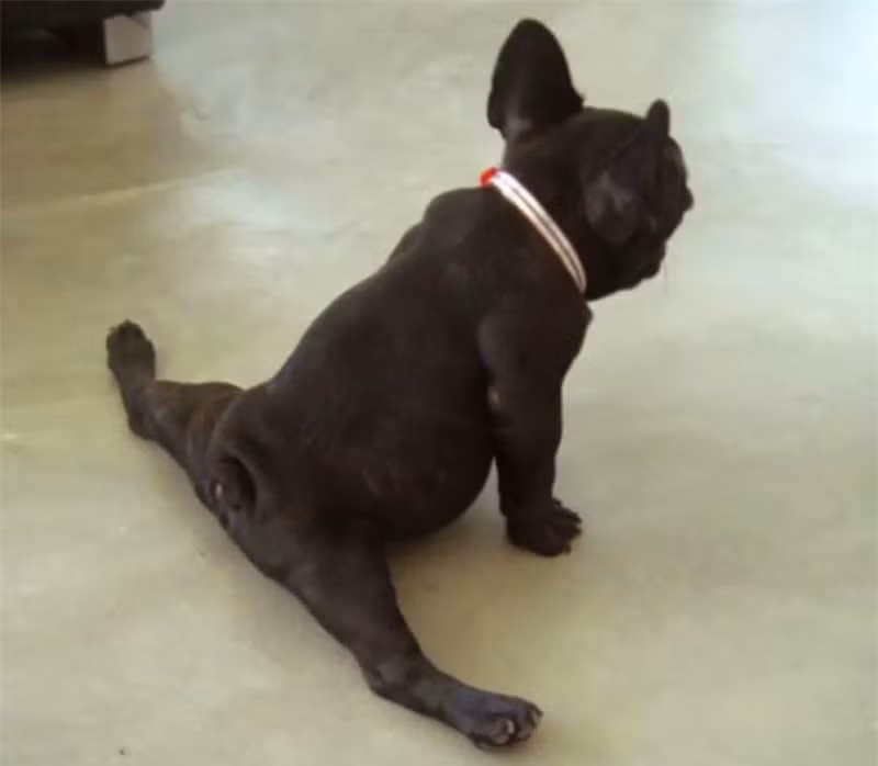 Xoải chân khó đấy.