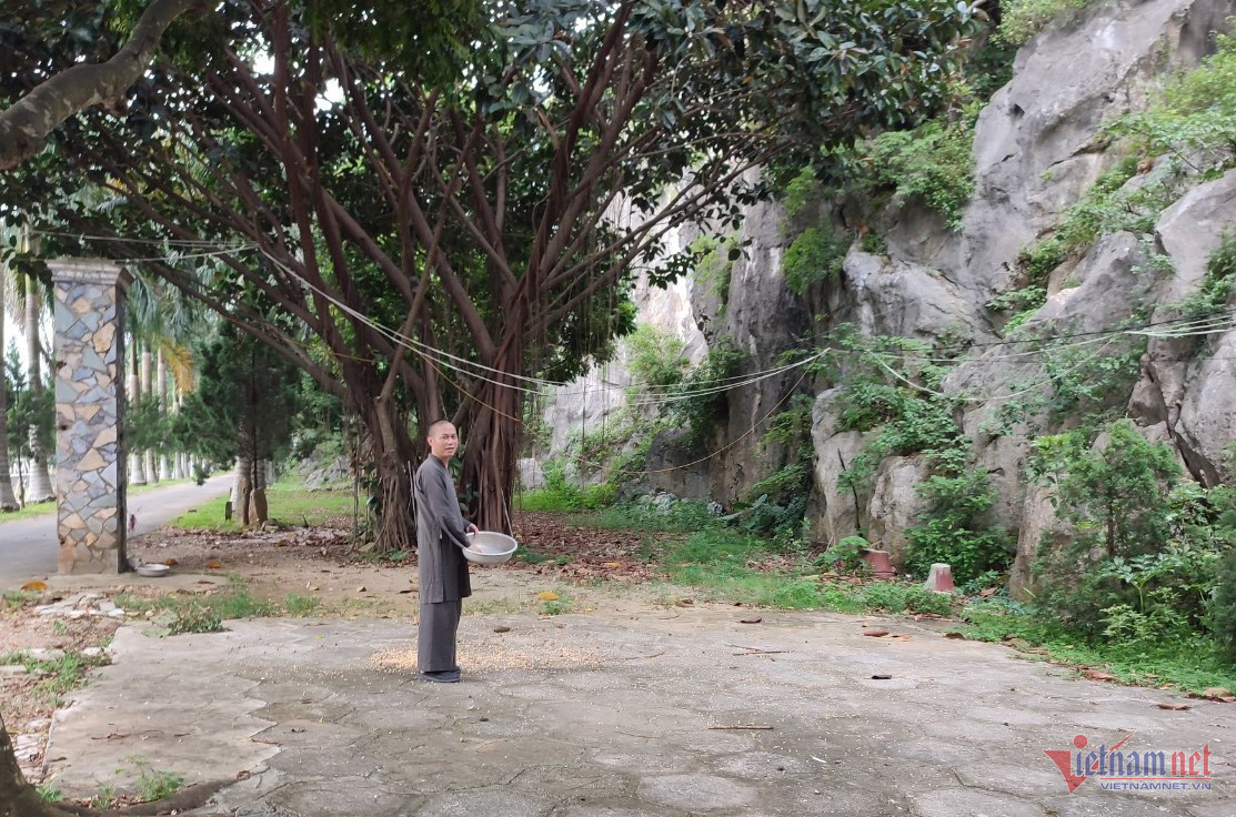 Ngoi chua dac biet o Thanh Hoa, moi ngay co dan khi hoang ru nhau ve-Hinh-3