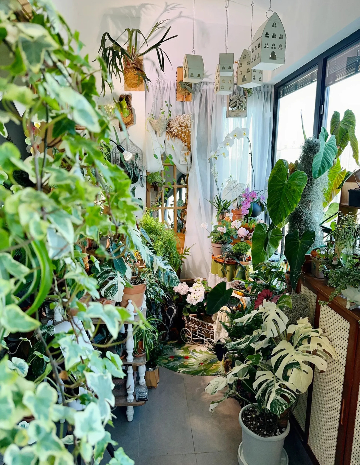 Co gai “ho bien” ban cong nho thanh khu vuon nhiet doi