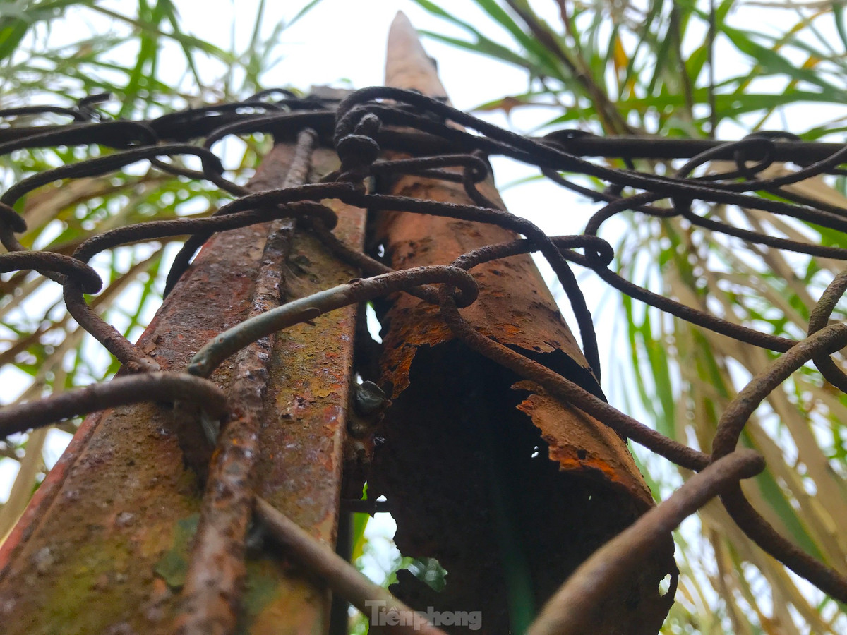 Nhiều điểm trên hàng rào lưới thép vây chuồng cá sấu bị bung ra, hoen gỉ khiến người dân đến tham quan cũng lo ngại.