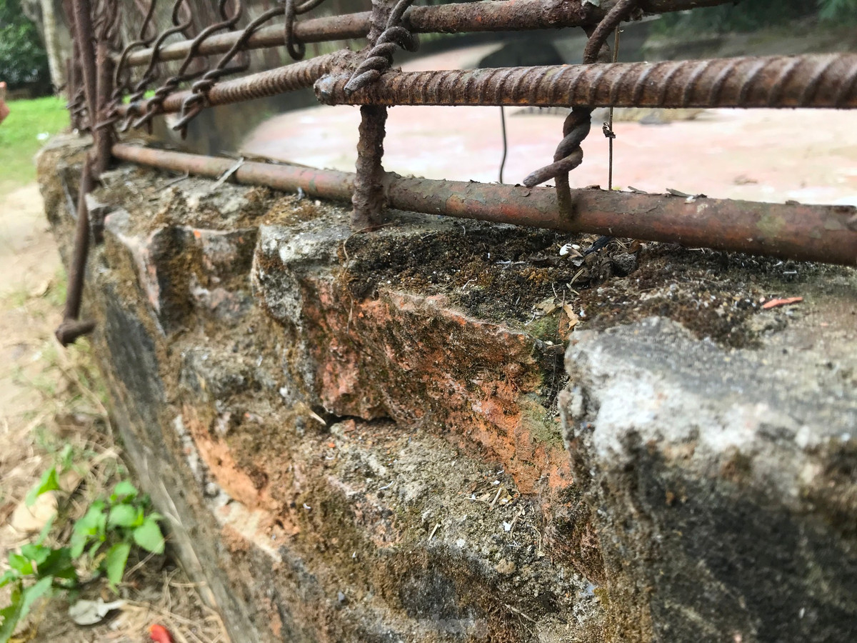 Dưới sát mặt đất, khu nuôi cá sấu được bao bọc một lớp tường vây cao chừng 30cm.