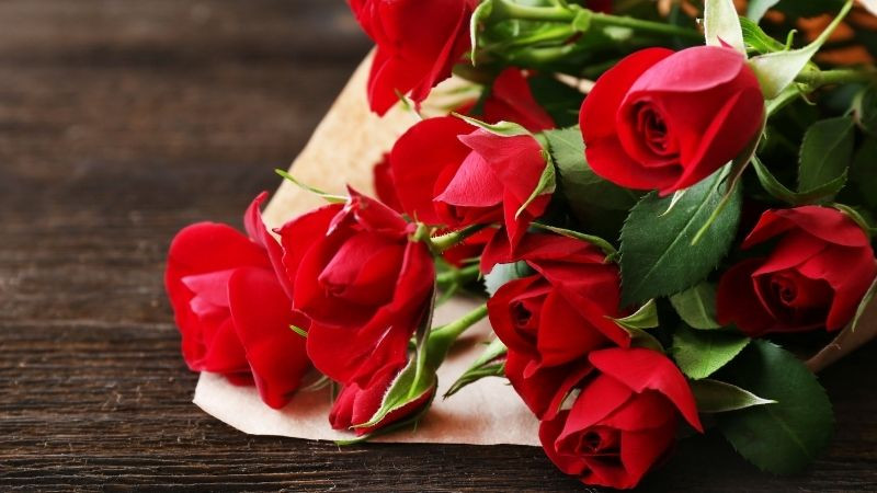 Truoc ky nghi le 30/4, 3 con giap don nhieu tin vui-Hinh-2