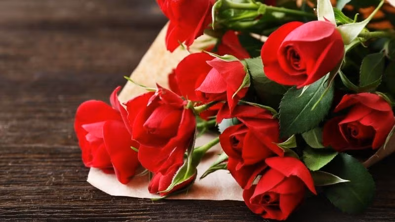 Truoc ky nghi le 30/4, 3 con giap don nhieu tin vui-Hinh-2