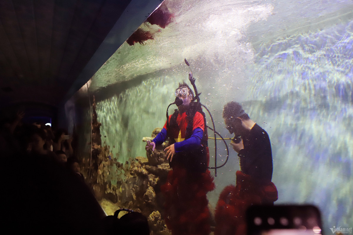 Các thành viên trong đội phải đeo bình dưỡng khí, quần chì vào bụng khi múa lân dưới nước. Thấy màn biểu diễn này, người lớn trầm trồ khen ngợi, còn trẻ em phấn khích.