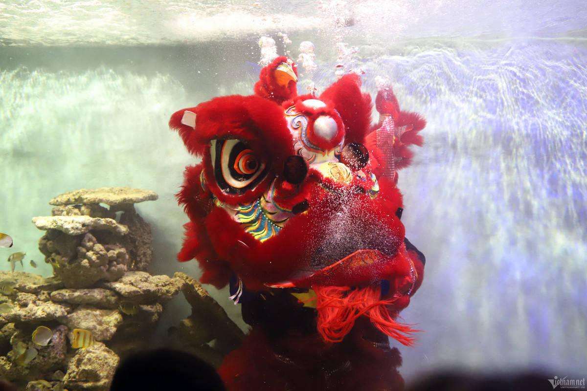 Chứng kiến màn biểu diễn này, nhiều người tỏ ra thích thú. “Lần đầu tiên tôi xem múa lân dưới nước, thấy lạ và hấp dẫn”, chị Thanh, 35 tuổi, nói.