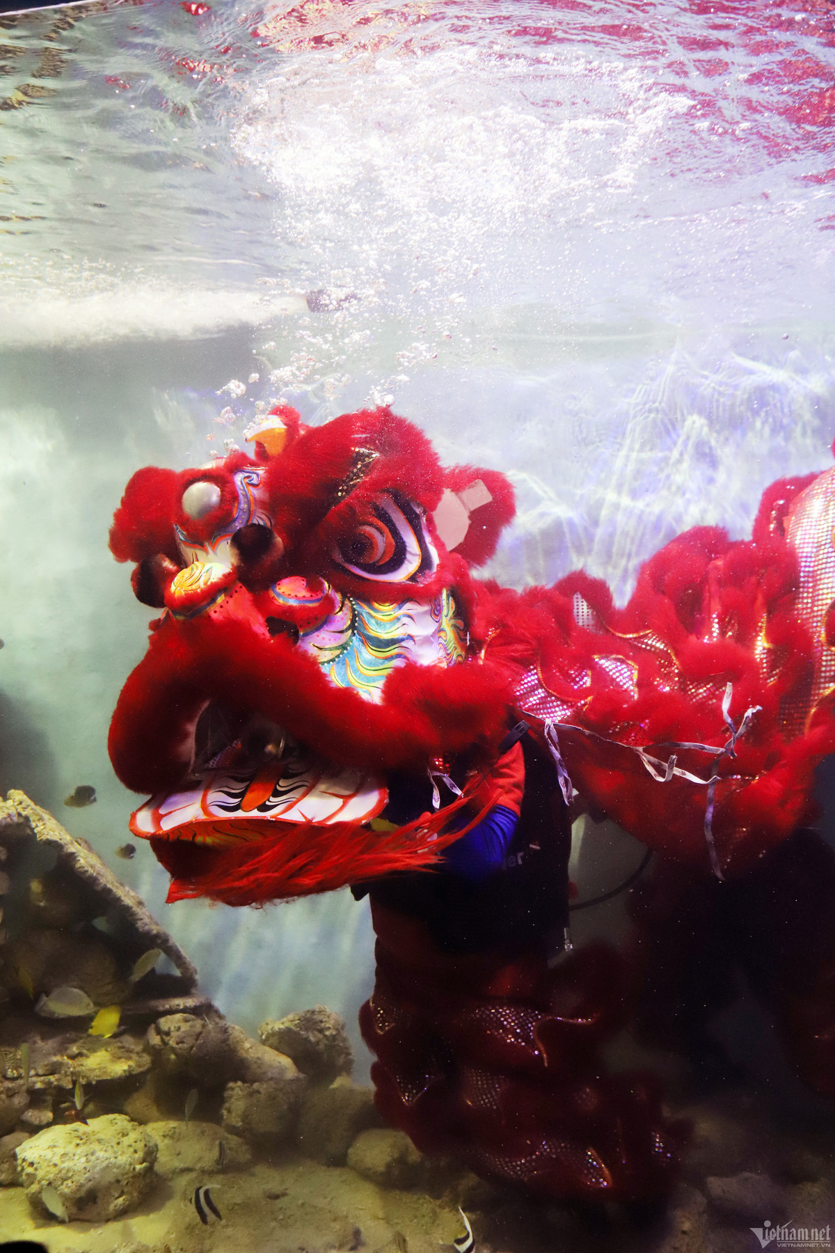  9h, 3 nam kỹ thuật viên xuất hiện trong bể kính nơi đường hầm xuyên núi Cảnh Long, biểu diễn múa lân cùng các loại cá. Đây là lần đầu tiên nơi đây tổ chức hoạt động múa lân dưới nước trong dịp Trung thu.