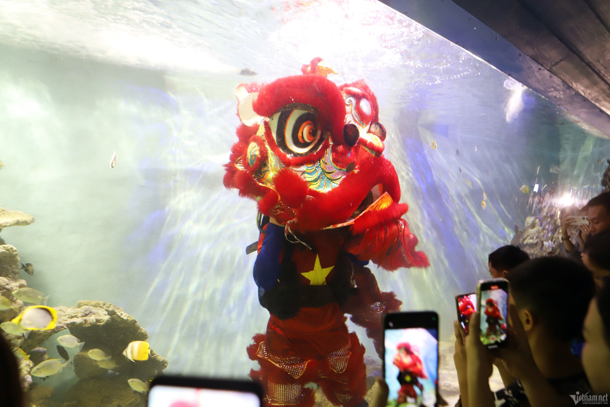 Nhiều người cũng bày tỏ hứng thú, chụp ảnh lưu niệm. Trong đó có anh Nguyễn Gia Linh, 40 tuổi, cùng vợ với con trai ở TP HCM đến Nha Trang, hôm qua. Vợ chồng anh Linh chọn vào Viện Hải dương học để con tìm hiểu các loài sinh vật biển. “Tôi nghe mọi người bảo có múa lân trong bể kính nên vào xem thì thấy rất lạ. Còn con trai tỏ ra hào hứng”, anh Linh chia sẻ.