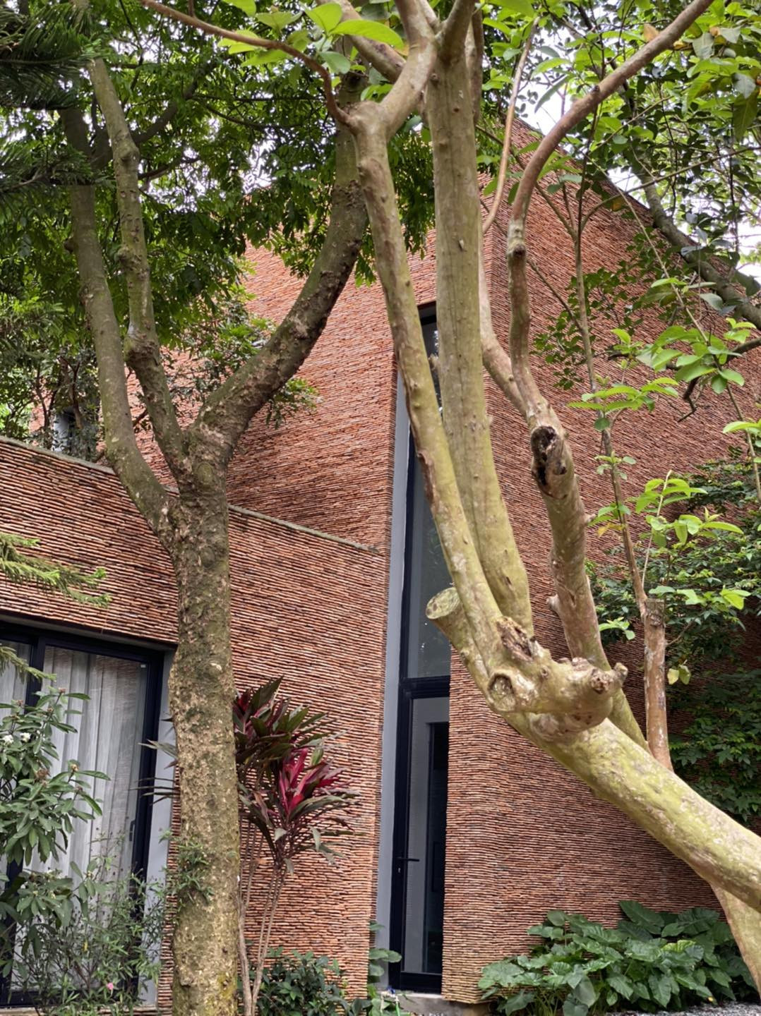 Tuoi 63 cua NSUT Xuan Hinh: It tham vong, nhe nhang buong bo...-Hinh-2