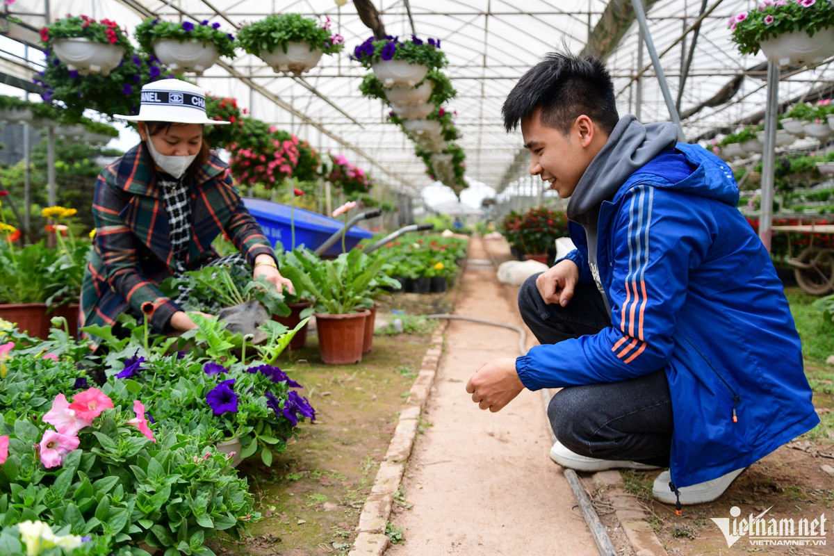 “Hoa ở đây đa dạng hơn ở Quảng Ninh, nay tôi xuống mua về trồng tại nhà để Tết này có chút không khí”, anh Nguyễn Chiến Thắng chia sẻ.