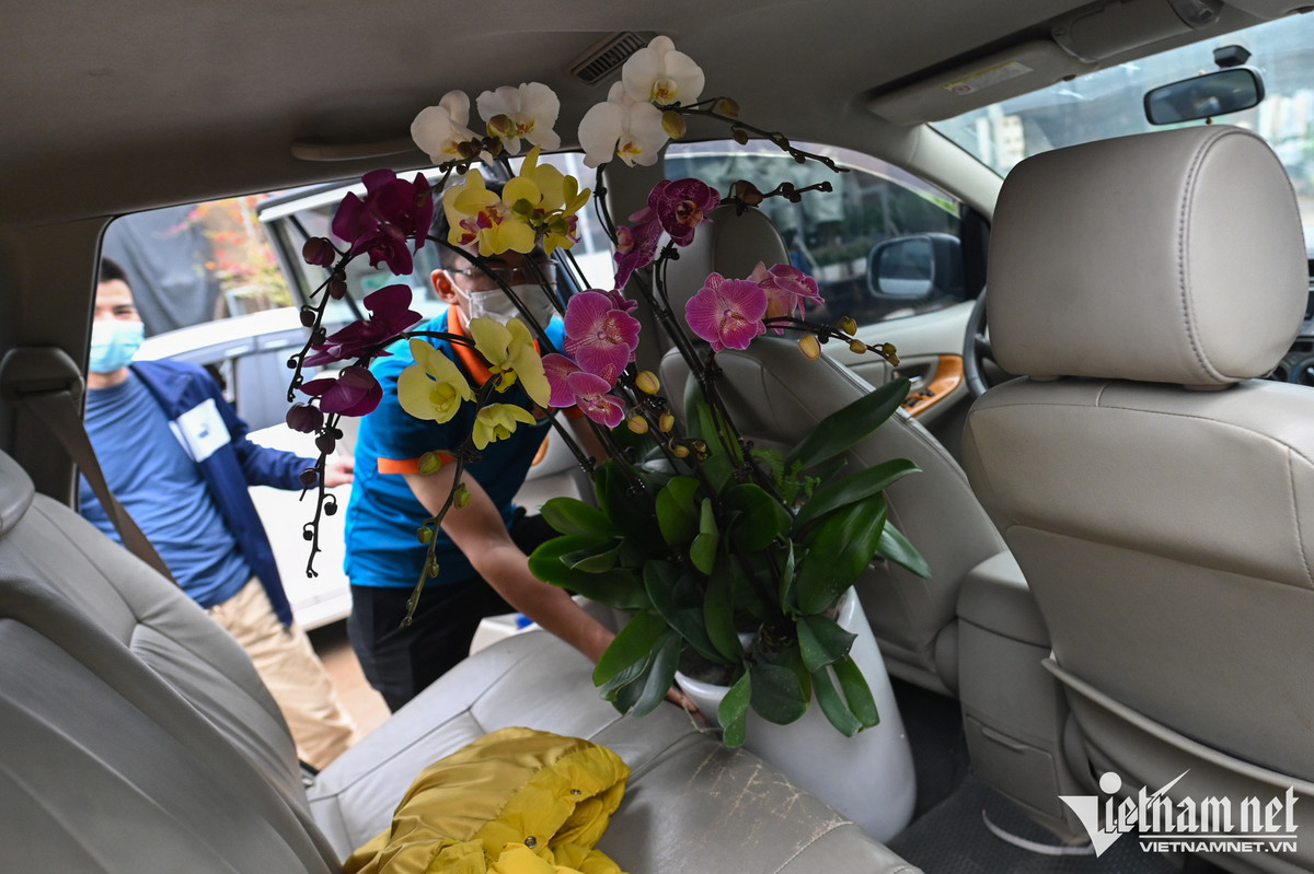 Chị Nguyễn Yến từ Hà Nội đi tới chợ Xuân Quan để chọn mua phong lan về chơi Tết. "Dù hơi mất công di chuyển nhưng đến tận nơi chọn thì giá rẻ và đa dạng thể loại để chọn", chị Yến nói. Sau 30 phút ở một cửa hàng, chị ưng ý với chậu phong lan với màu sắc kết hợp, giá 1,4 triệu đồng.