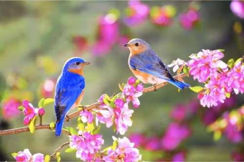 Don tin vui suot ca mua xuan, 3 con giap gap go quy nhan