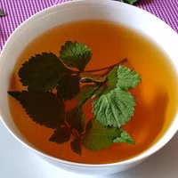 Cay hoa dai moc day Viet Nam, the gioi san lung chua benh-Hinh-2