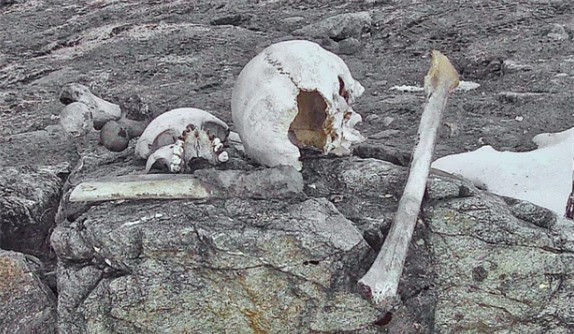 Top 4 hồ nước bí ẩn nhất trên thế giới ảnh 3