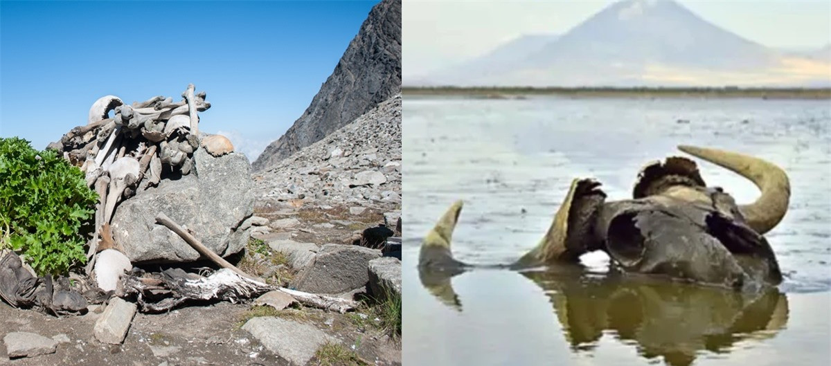 Top 4 hồ nước bí ẩn nhất trên thế giới ảnh 1