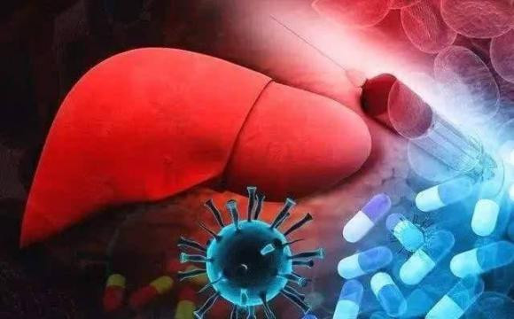 Hai bo phan tren co the bi “ngua ngay”, dung lam tuong la di ung-Hinh-3