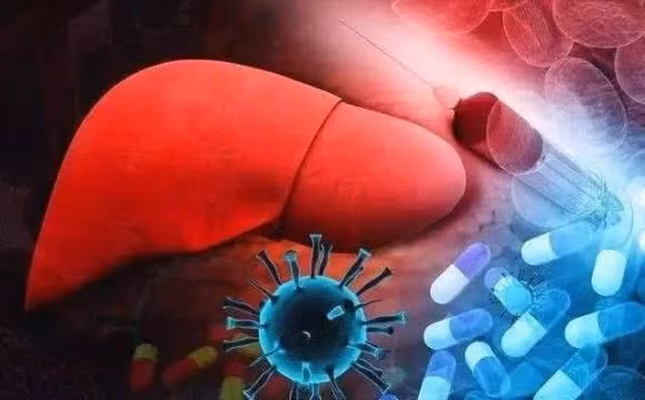 Hai bo phan tren co the bi “ngua ngay”, dung lam tuong la di ung-Hinh-3