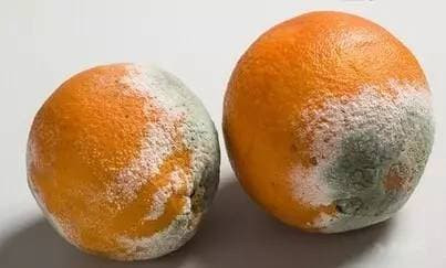 Hai bo phan tren co the bi “ngua ngay”, dung lam tuong la di ung-Hinh-4