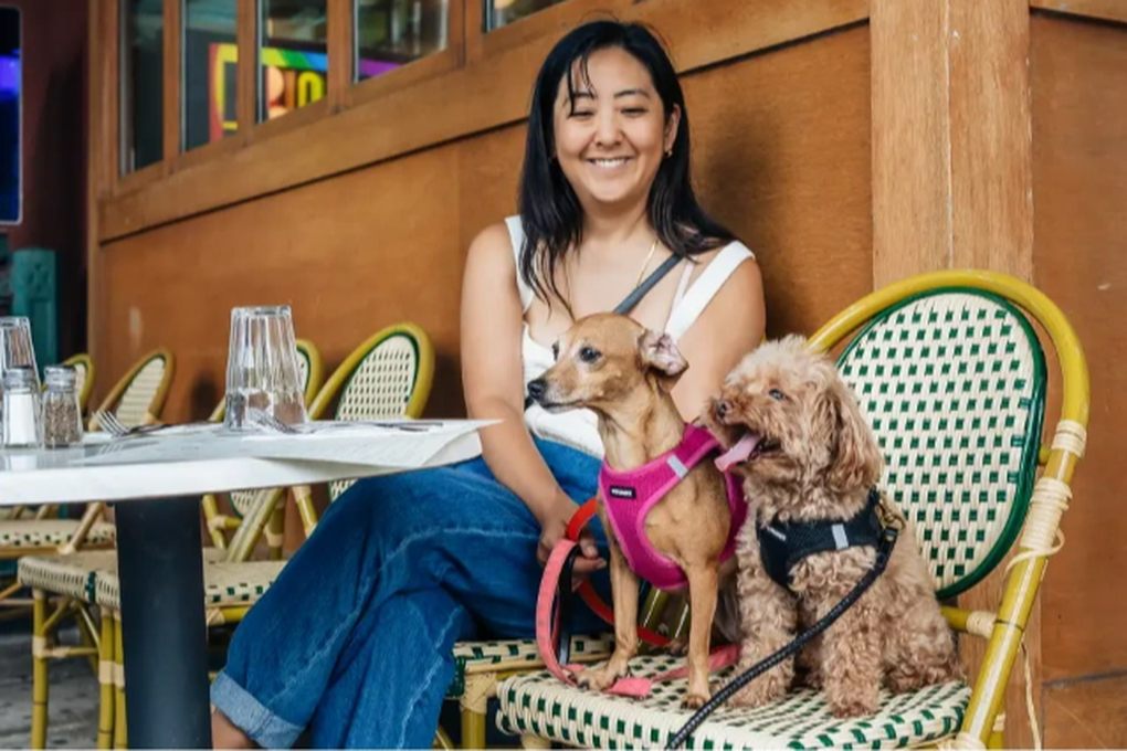 Nghe trong cho cho nha giau, luong 7 trieu dong/ngay?-Hinh-2