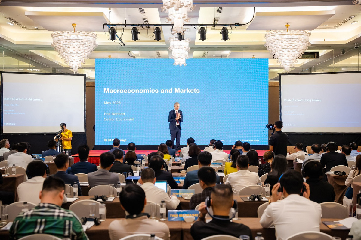 Gia nang luong se bien dong manh trong nam nay?