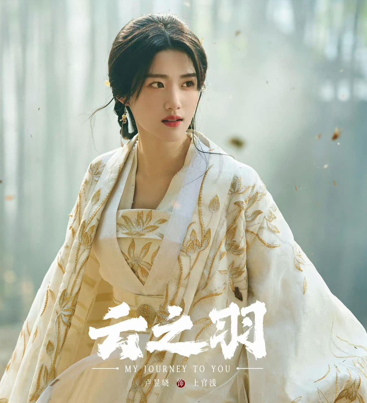 Nu dien vien phu de bep dan tieu hoa dan luu luong-Hinh-5