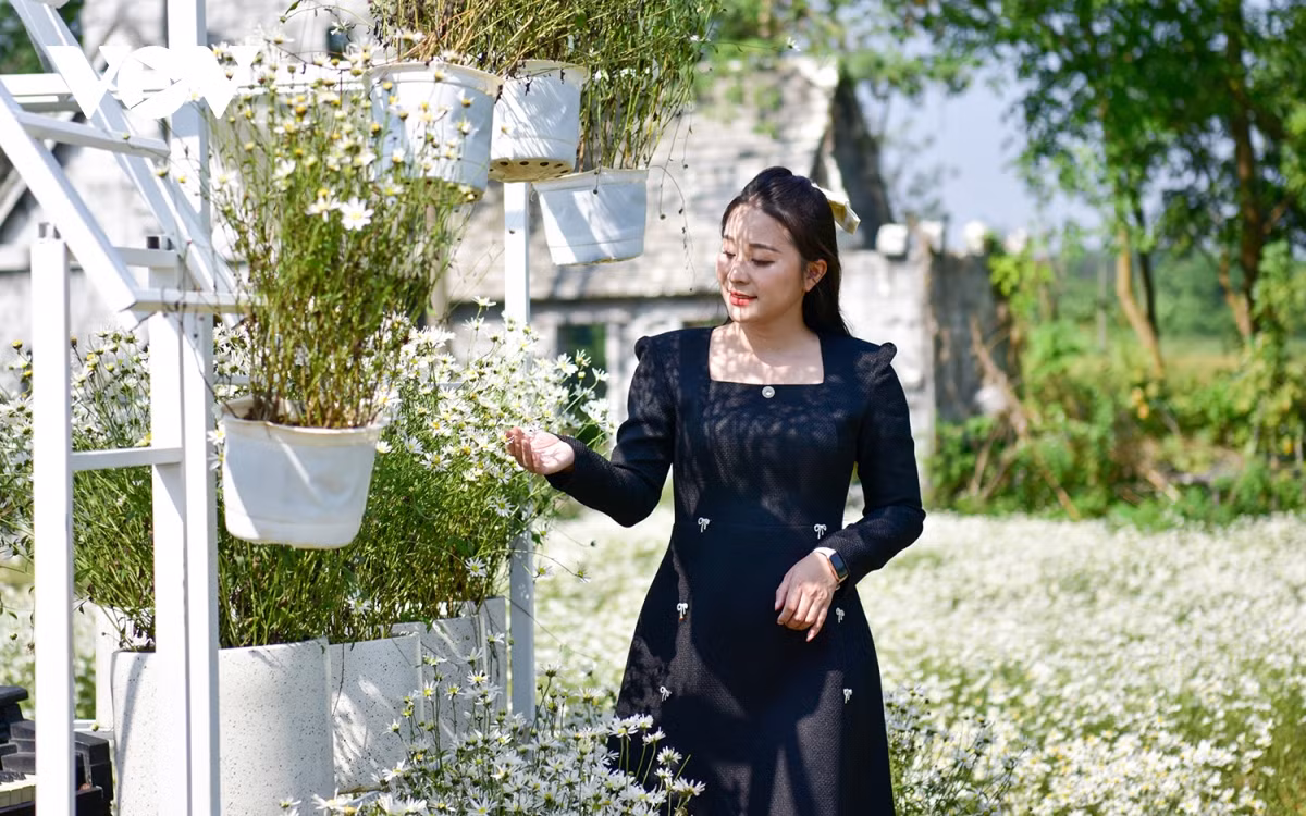 Thảo nguyên hoa Long Biên là một trong những điểm thu hút nhiều bạn trẻ Hà Nội đến check-in. Với giá vé 70.000 đồng/người, tại đây, du khách được đắm chìm trong không gian ngập tràn cúc họa mi với không gian thoáng đãng, mát lành.