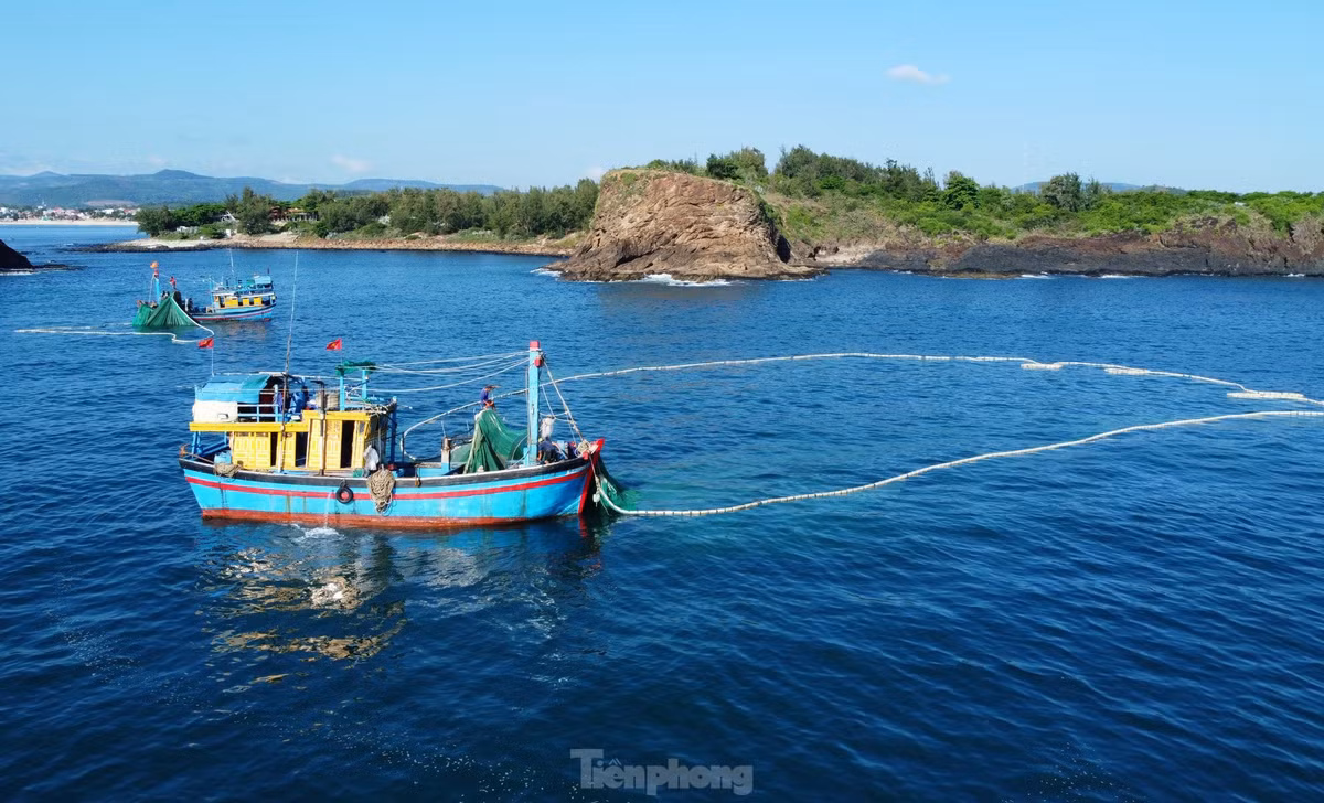 ... và "Biển dịu dàng đôi mắt người thương/ Biển vạm vỡ sức trai từng ngọn sóng/ Như người Phú Yên vốn cần cù lao động".