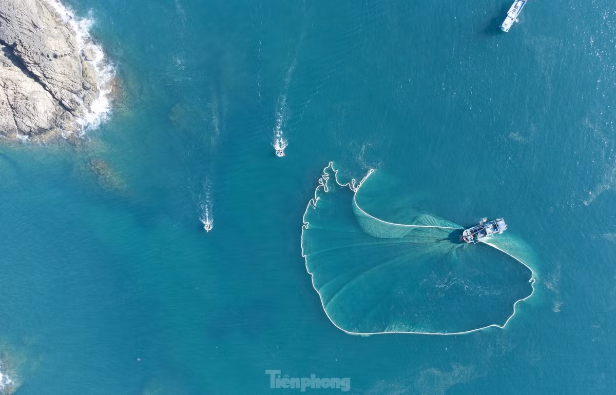 Mặc dù vậy, sản vật khác quanh Hòn Yến vẫn rất phong phú nuôi sống làng chài Nhơn Hội. Hòn Yến như một bức bình phong che chở cho ngư dân, đồng thời cũng là nơi trú ngụ của rất nhiều loại hải sản độc đáo và có giá trị cao.