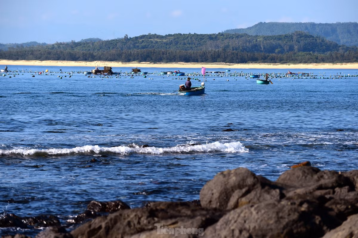 Biển chính là cuộc sống của những cư dân làng chài Nhơn Hội cần cù lao động. Từ lúc 3h sáng, đoàn thuyền gắn cờ Tổ quốc của đã tiến ra khơi.