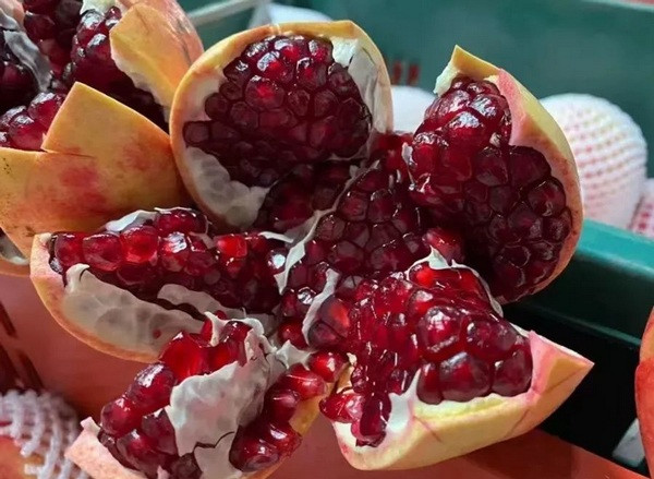 Loai qua vang cua mua thu “don sach” mach mau, ngua dot quy