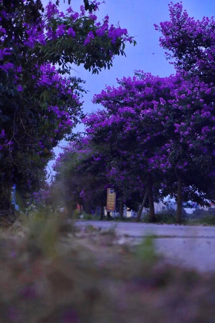 Con duong bang lang tim tho mong o Ly Nhan, Ha Nam