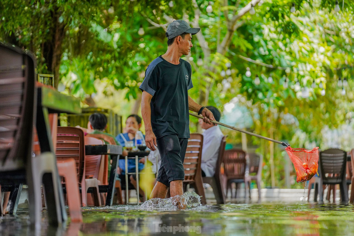 Do nằm dưới vườn cây ăn quả nên nhân viên của quán thường xuyên đi lại vớt lá cây. "Ngồi gác chân lên ghế thưởng thức ẩm thực trong khu vườn mát mẻ, nghe tiếng chủm chủm nhân viên lội nước qua lại mát lỗ tai, thật sự rất thư thái", anh Lê Phúc Lâm - ngụ quận 6 - chia sẻ.