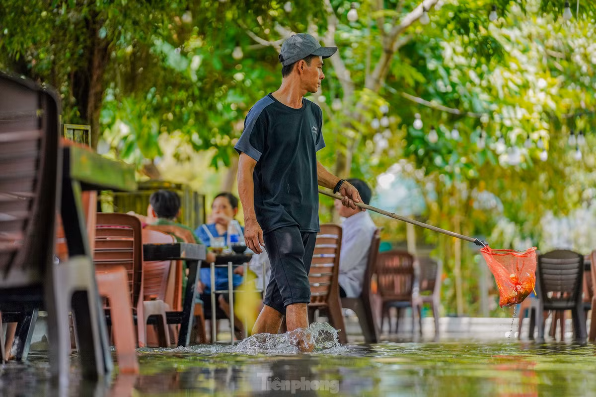 Do nằm dưới vườn cây ăn quả nên nhân viên của quán thường xuyên đi lại vớt lá cây. "Ngồi gác chân lên ghế thưởng thức ẩm thực trong khu vườn mát mẻ, nghe tiếng chủm chủm nhân viên lội nước qua lại mát lỗ tai, thật sự rất thư thái", anh Lê Phúc Lâm - ngụ quận 6 - chia sẻ.