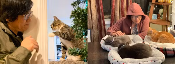  Phương Thảo - Ngọc Lễ là cặp đôi ca sĩ - nhạc sĩ nổi tiếng từ những năm 1990. Nhắc đến họ thì không thể quên những ca khúc đã gắn bó với tuổi thơ của thế hệ 8X, 9X như: Xa rồi tuổi thơ, Xe đạp ơi, Con gái, Dấu yêu tình đầu, Ba ngọn nến lung linh, Con heo đất... Năm 2005, Phương Thảo và Ngọc Lễ cùng hai con ra nước ngoài định cư sau khi nữ ca sĩ tìm lại được người cha quốc tịch Mỹ. Phương Thảo và Ngọc Lễ sống bằng nghề sáng tác và dạy hát cho các ca sĩ trẻ, làm huấn luyện viên cho các cuộc thi tài năng âm nhạc. Cặp đôi còn có một kênh YouTube để chia sẻ những MV và ca khúc mới.