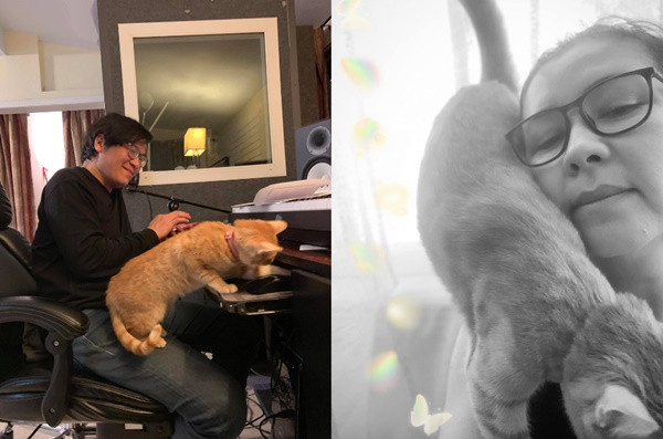  Bên cạnh niềm vui làm vườn, Phương Thảo và Ngọc Lễ còn dành thời gian cho đàn mèo cưng. Những chú mèo tinh nghịch, đáng yêu mang đến cho họ nhiều giây phút thư giãn. 