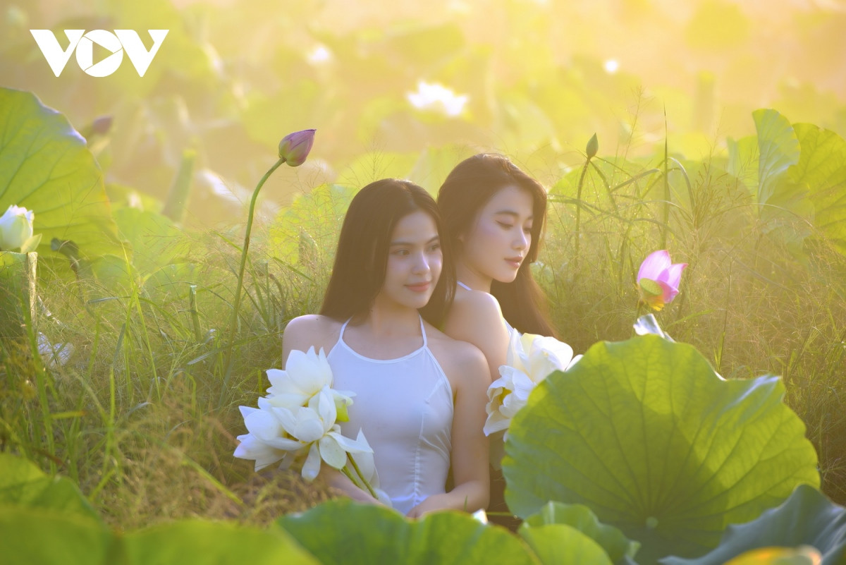 Các bạn trẻ cũng lưu giữ những tấm hình kỷ niệm bên hoa sen trắng tính khiết.