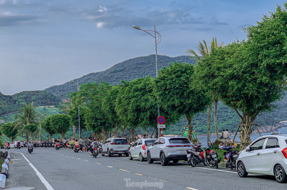 Lên bán đảo Sơn Trà có thể tận hưởng những làn gió mát trong lành từ biển thổi vào, xung quanh cây cối tỏa bóng mát rất thích hợp để người dân và du khách tránh nóng trong những ngày hè oi bức.