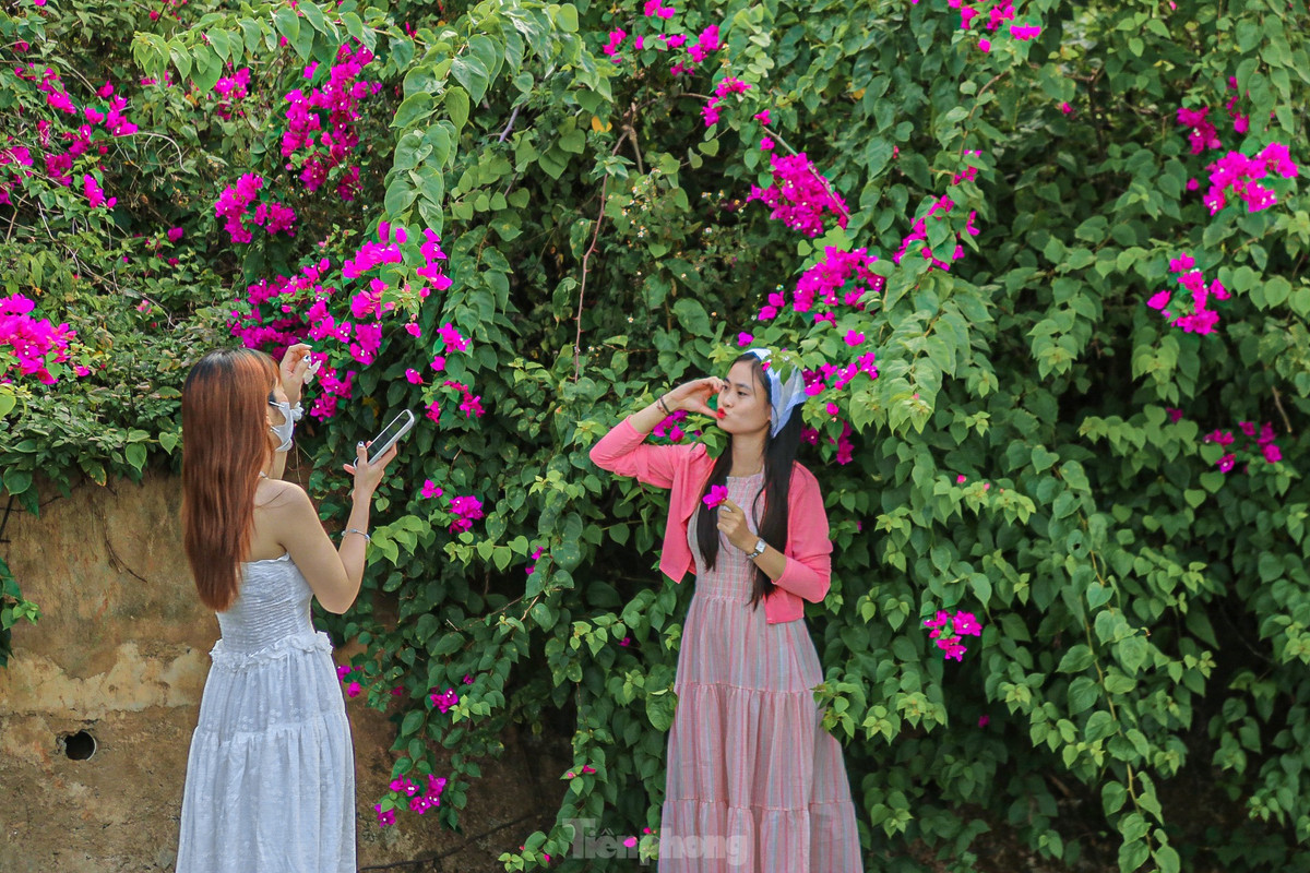 Nhiều bạn trẻ chọn bán đảo Sơn Trà là nơi hóng mát, check-in vào mỗi dịp cuối tuần.